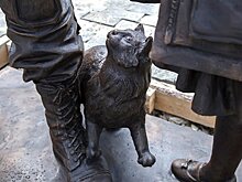 Кот Ватник может стать новым символом Крыма