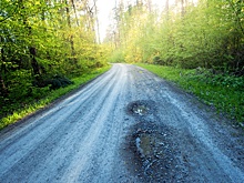 Правительство РФ подготовило предложения по правилам создания лесных дорог