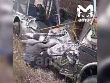 Mash: водитель сбитого  автобуса в Хабаровске пытался проскочить на красный