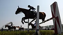 Международная федерация конного спорта допустила россиян в нейтральном статусе