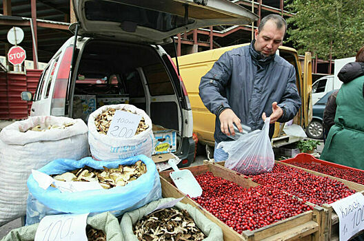 Самозанятых хотят пустить на рынок органической продукции