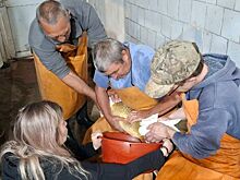 В Удмуртии нерестовая кампания стартовала в рыбхозе «Пихтовка»