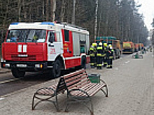 В Зеленограде прошли пожарные учения по тушению лесных пожаров