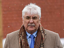 Депутат Чепа: Трамп использует коррупционный скандал для давления на Зеленского