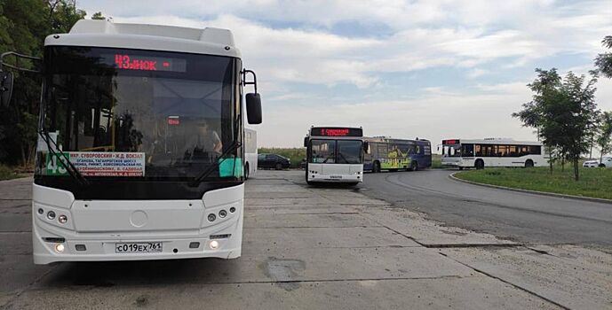 В Ростове всерьез взялись за проблему общественного транспорта