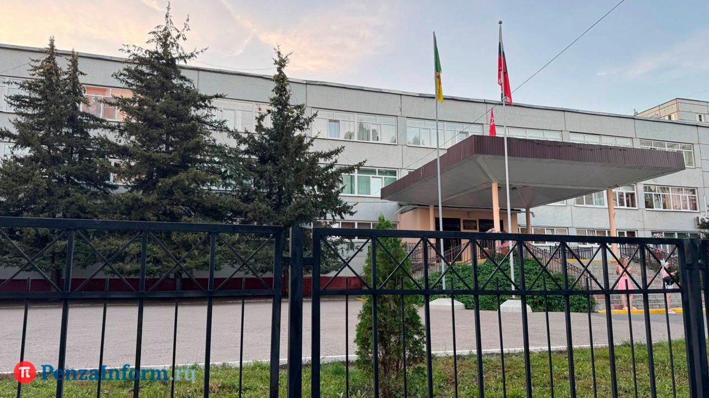 В Пензе насчитали более 200 аварийных деревьев около школ