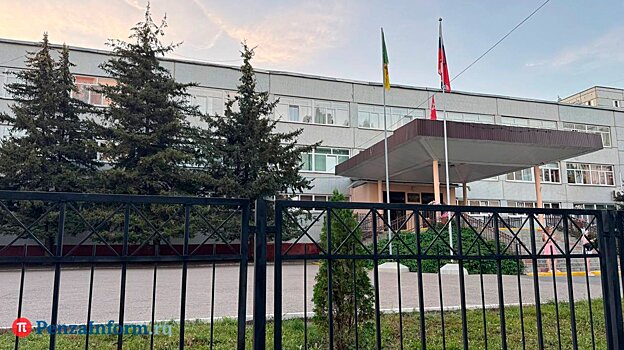 В Пензе насчитали более 200 аварийных деревьев около школ