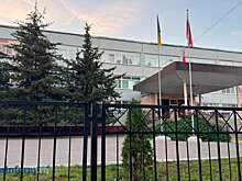 В Пензе насчитали более 200 аварийных деревьев около школ