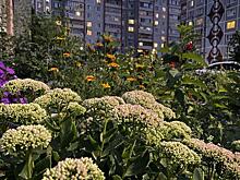 В Курске за 2025 год высадили свыше 10 тысяч деревьев