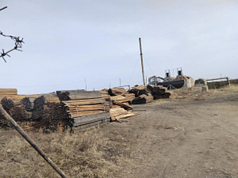 В Забайкалье передано в суд уголовное дело о контрабанде лесоматериалов на сумму свыше миллиарда рублей