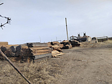 В Забайкалье передано в суд уголовное дело о контрабанде лесоматериалов на сумму свыше миллиарда рублей