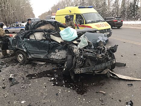 За ДТП у Комарово, где погибла семья учительницы, ответят полицейские