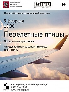 9 февраля в аэропорту «Внуково» отметят День работника гражданской авиации
