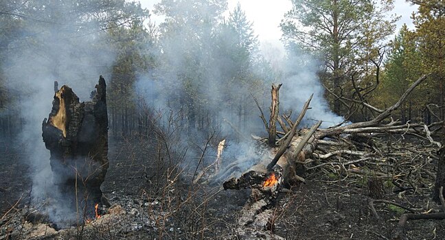 Площадь пожара в национальном парке "Зигальга" на Урале увеличилась до 140 га