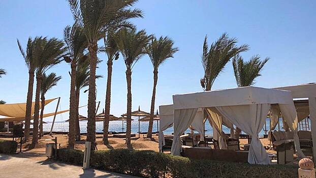 Минимум 17 человек погибли в результате аварии в Египте