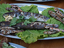 На Ямале стартовал цикл народных дегустаций продукции агропрома