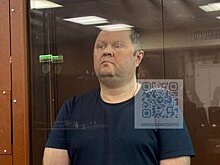 Экс-замминистра транспорта Токарев получил 8 лет лишения свободы