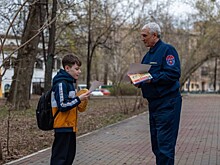 Безопасный пикник
