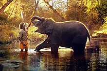 Кинокартина якутских режиссеров уступила «Оскар» «Заклинателям слонов»