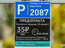 Минтранс РФ порекомендовал администрации Ростова изменить цены за платные парковки