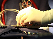 Академик: Из сердца свиньи до его пересадки человеку удалили ген роста