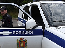 Раскрыто возможное наказание для участников драки в российской школе