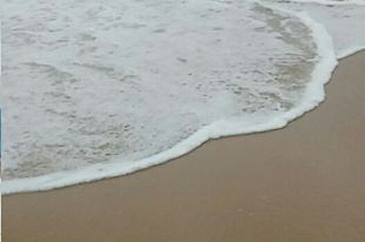 Жители Сочи собирают подписи за сохранение бесплатного пляжа «Ривьера»