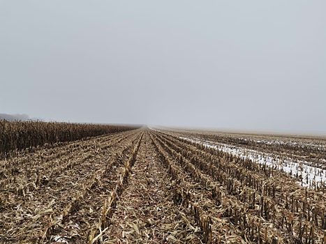В Курской области комбайнер пытался охотиться под видом сельхозработ