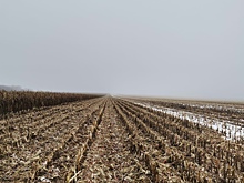 В Курской области комбайнер пытался охотиться под видом сельхозработ