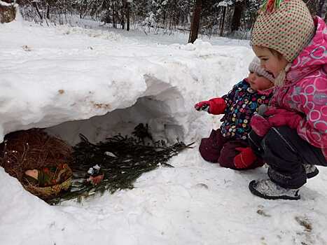 Снежная радость во Внуково