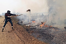 На Среднем Урале, где больше недели бушуют пожары, их площадь уменьшилась почти в 20 раз