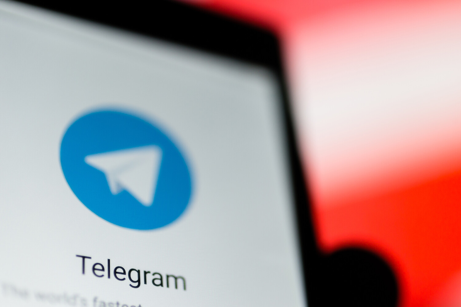Названо число россиян, обрадовавшихся блокировке Telegram