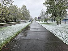 Синоптик Тишковец рассказал, что в Москве к 9 мая может образоваться снежный покров