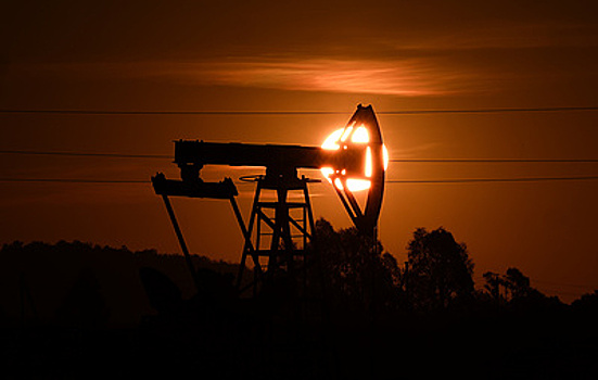 "Транснефть" ждет прокачку нефти в 2025 году на уровне 2024 года