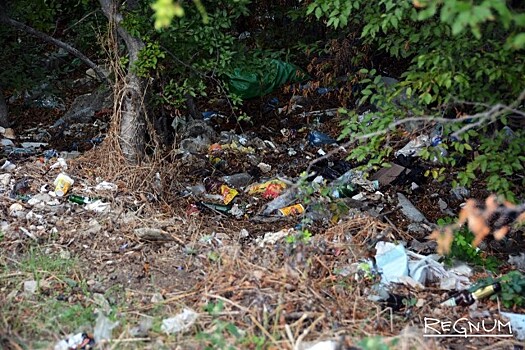 Аксенов назвал ситуацию с мусором в Крыму катастрофической