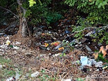 Аксенов назвал ситуацию с мусором в Крыму катастрофической