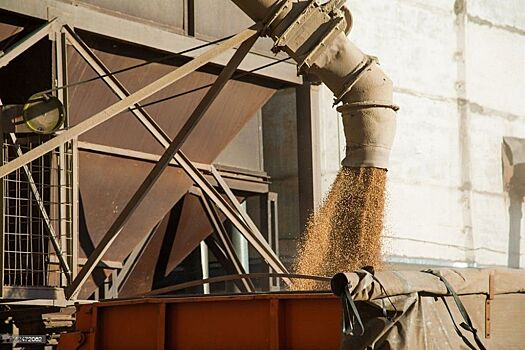 Закупки интервенционного зерна в России приблизились к 3 млн тонн