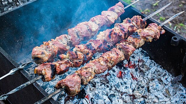 В дни проведения ЧМ-2018 временно запретят жарить шашлыки