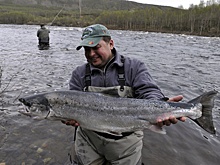 В Белом море могут запретить промышленный лов дикой семги из-за резкого падения ее запасов