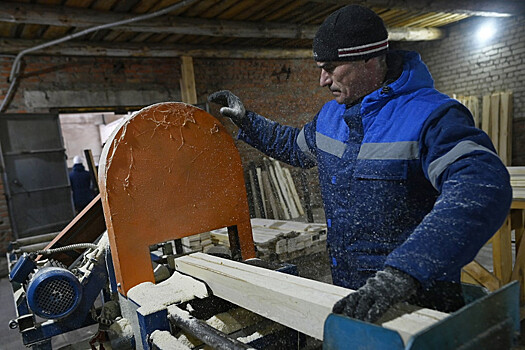 В тамбовских лесхозах перерабатывают около 60 тысяч кубометров древесины в год