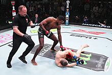 UFC Fight Night 235: Рэнди Браун — Муслим Салихов, кто победил, результат боя, итог поединка, исход, обзор, видео