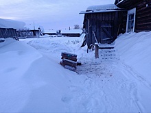 Чиновники оставили жителей Коми без дров в сорокаградусные морозы