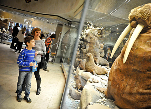 Волонтерам приоткрыли закулисье Дарвиновского музея