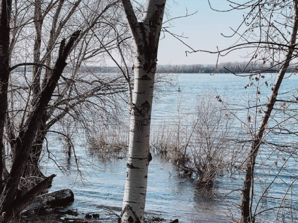 К 12 апреля в Самарской области вода покинула три жилых дома и 22 участка