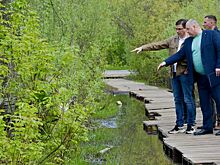 Новый тротуар появится на месте разлива водоема в Московском районе
