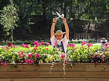 На рабочем рынке появятся новые официально признанные профессии