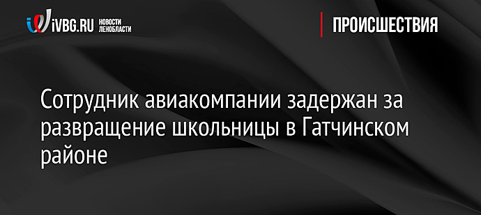 Сотрудник авиакомпании задержан за развращение школьницы в Гатчинском районе