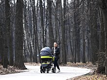 Депутат ГД Власов предложил разрешить тратить маткапитал на спортивный инвентарь