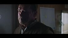 Шварценеггер показал трейлер фильма по мотивам авиакатастрофы над Боденским озером