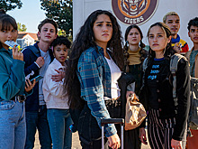 Актеры покинули сериал «Поколение» из-за использования трупов кошек на съемках